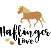 Haflinger Love