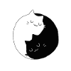Chat yin yang