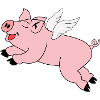 Pig Flying Gift