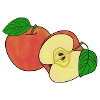 Whole and half apple