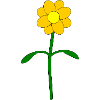 Flower yellow Buttercup