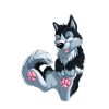 schwarzer Husky