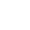Bride Security