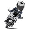 0790 FJR MatSilver