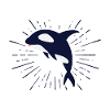 Baleine d'Orca