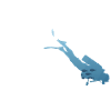 The Diving DAD - Plongée