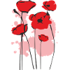 poppy