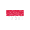 Drapeau de la Pologne