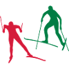 Ski Langlauf in der Loipe