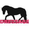 Dressage 3 D