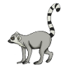 Lemur Katta