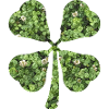 four-leaf clover