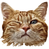 Cat head with wink eye illustration
