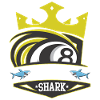 Billard Pool - Pool Shark