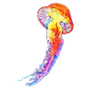 jellyfish