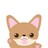 Chihuahua - Chihuahuas - Paws - Cute