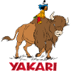 Yakari auf Bison
