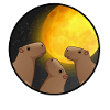 Capybara Moon - cochon d'inde géant