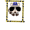 Police raccoon, policeman, cops, police animal