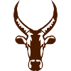 zebu bull wild animal 1102