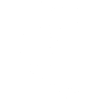 Fledermäuse