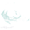 Koi 3