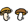 Funghi dei funghi Funghi dei funghi Funghi dei funghi