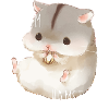 team hamster