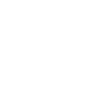 Mexican skull