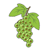 Grapes Grapes Vine Grape Fruit