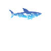 Requins Plongeurs