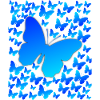 Schmetterling Butterfly