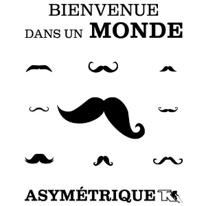 Bienvenue dans Monde Asymetrique