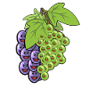 Grapes Grapes Fruit Vine Vegans
