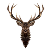 Hirsch