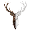 Hirsch