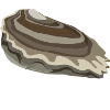 oyster