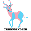 Transgendeer
