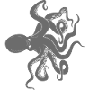 Octopus octopus octopus
