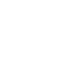 Islandpferd - Portrait