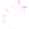 Butterflies fly