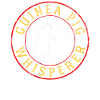 Guinea pig