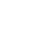 tree squirrels