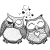 owls in love
