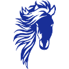 cheval criniere 24