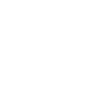 Celtic ornaments ws