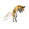 renard
