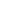 The Crew