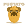 Pug potato