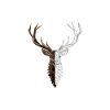 cerf